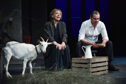 Milena Zupančič in Jurij Zrnec Foto: Peter Uhan